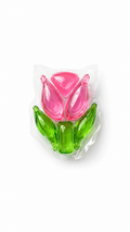 Pureo Tulip Pods